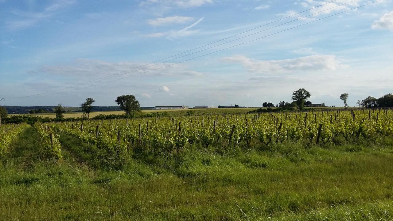 Gite-Civray-De-Touraine Maison De Denise Bagian luar foto
